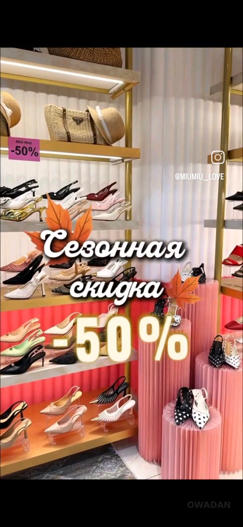 Möwsüm arzanladyşy